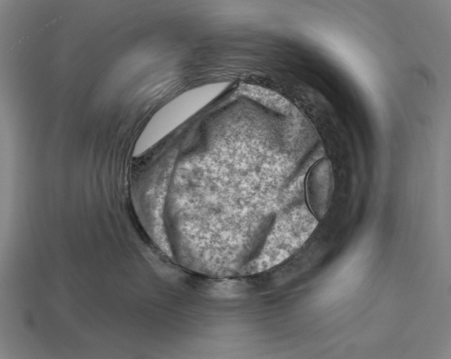 X0000114430527200911131334