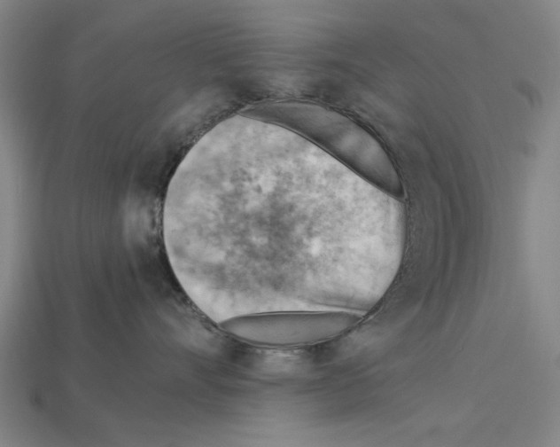 X0000114430528200911131334