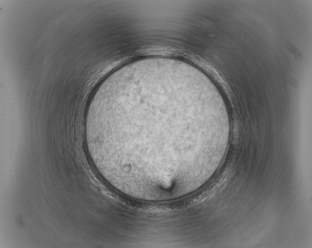 X0000114430529200911131334