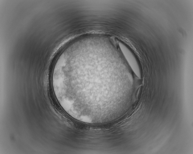 X0000114430531200911131334