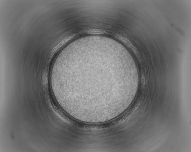 X0000114430533200911131334