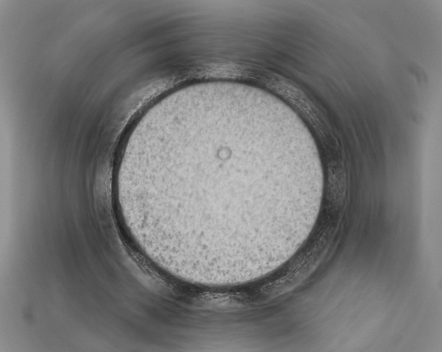 X0000114430534200911131334