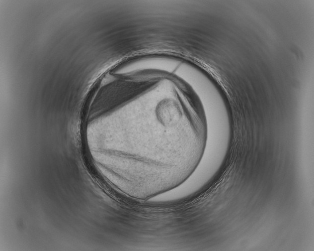 X0000114430535200911131334