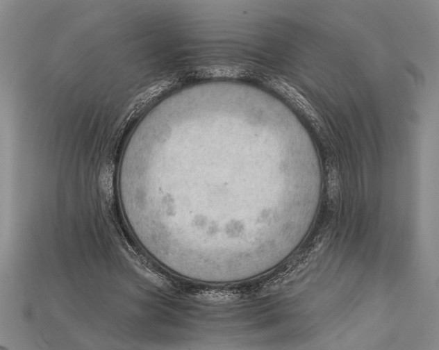 X0000114430537200911131334