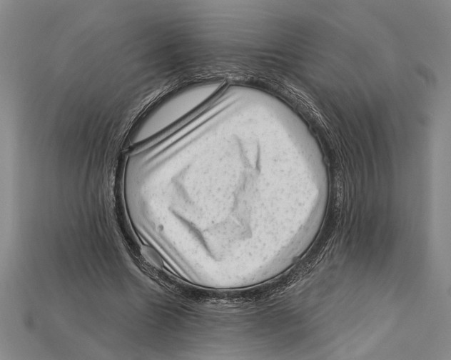 X0000114430538200911131334