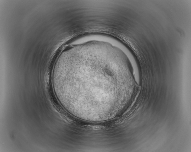 X0000114430539200911131334