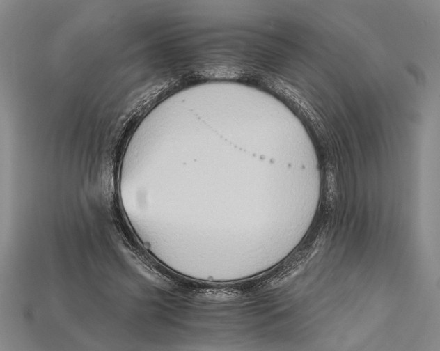 X0000114430541200911131334