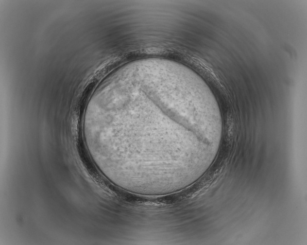 X0000114430542200911131334