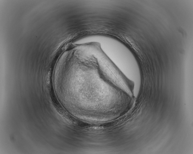 X0000114430543200911131334