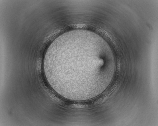 X0000114430545200911131334