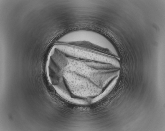 X0000114430546200911131334