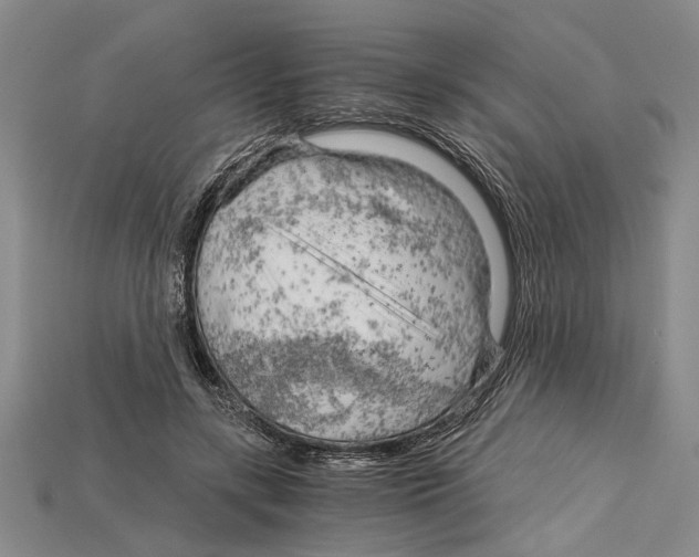 X0000114430547200911131334