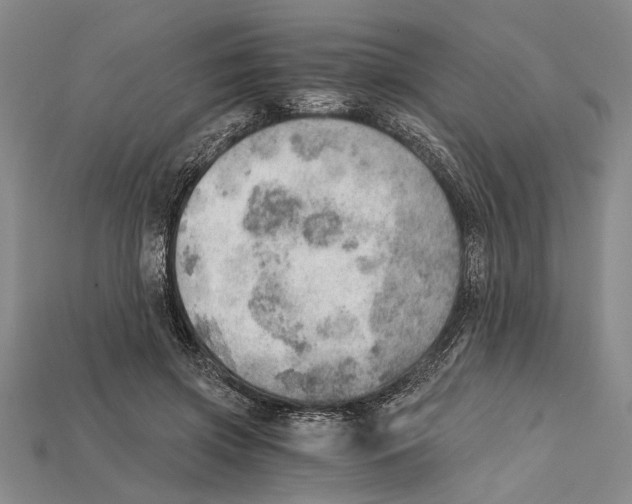 X0000114430549200911131334