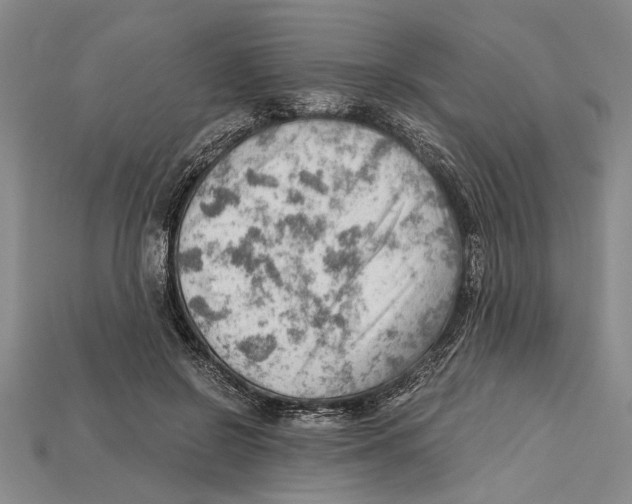 X0000114430550200911131334