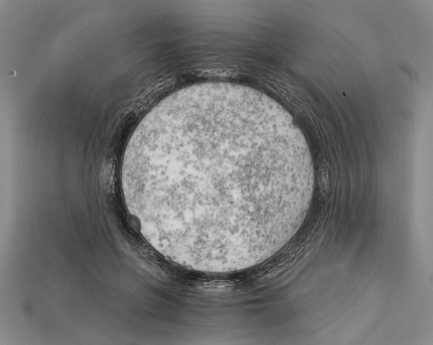 X0000114430551200911131334