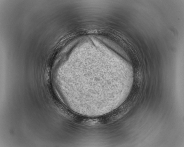 X0000114430554200911131334