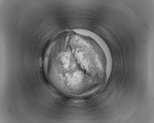 X0000114430555200911131334