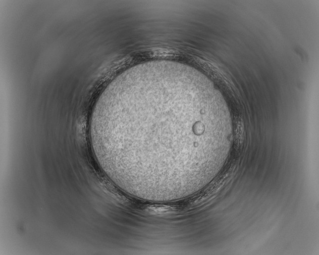 X0000114430557200911131334