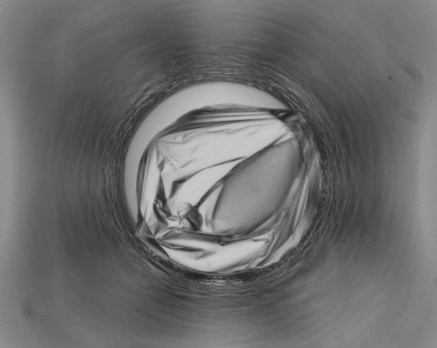 X0000114430558200911131334