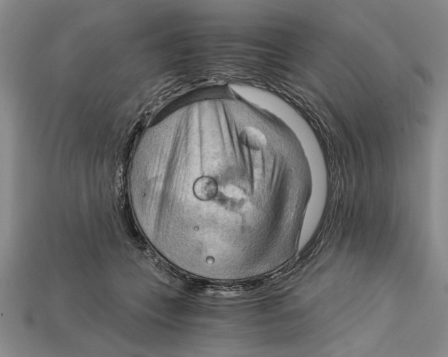 X0000114430559200911131334