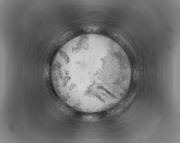 X0000114430561200911131334