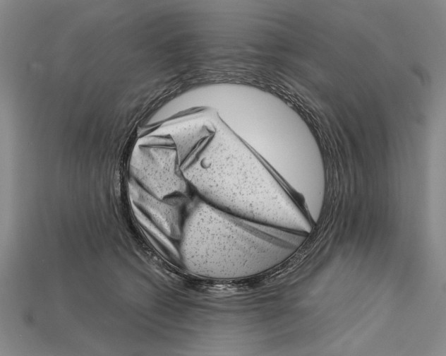 X0000114430562200911131334