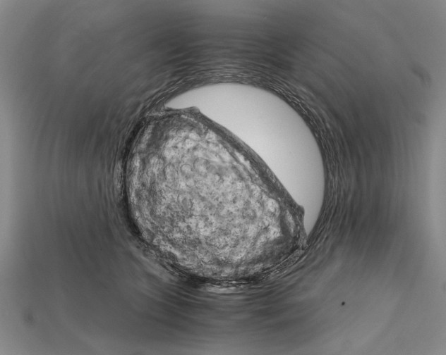 X0000114430563200911131334