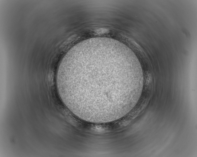 X0000114430565200911131334