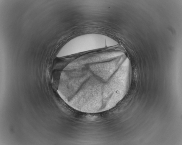 X0000114430570200911131334