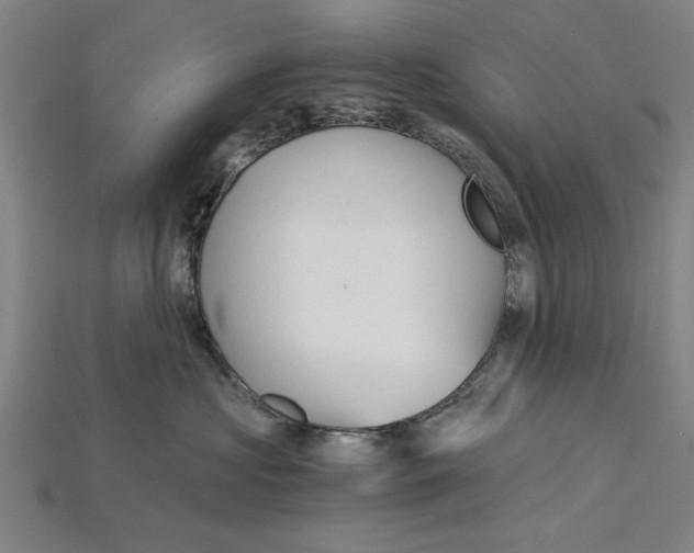 X0000114430573200911131334