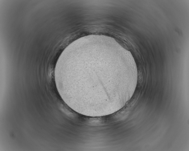 X0000114430574200911131334