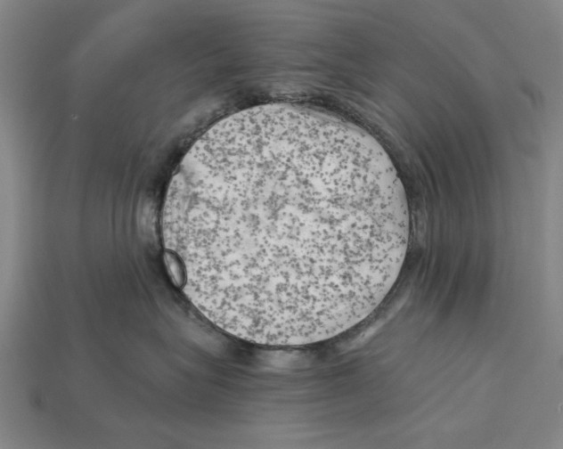 X0000114430575200911131334