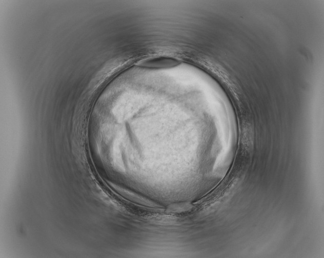 X0000114430577200911131334