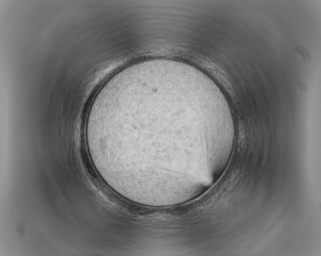 X0000114430578200911131334