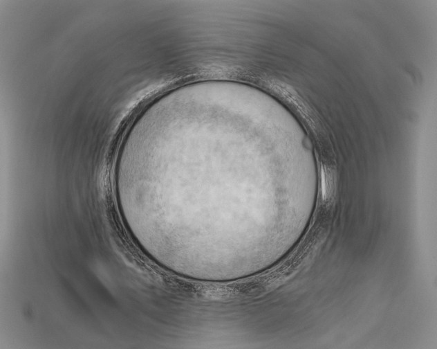 X0000114430579200911131334