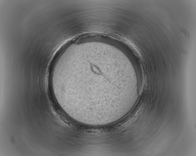 X0000114430580200911131333