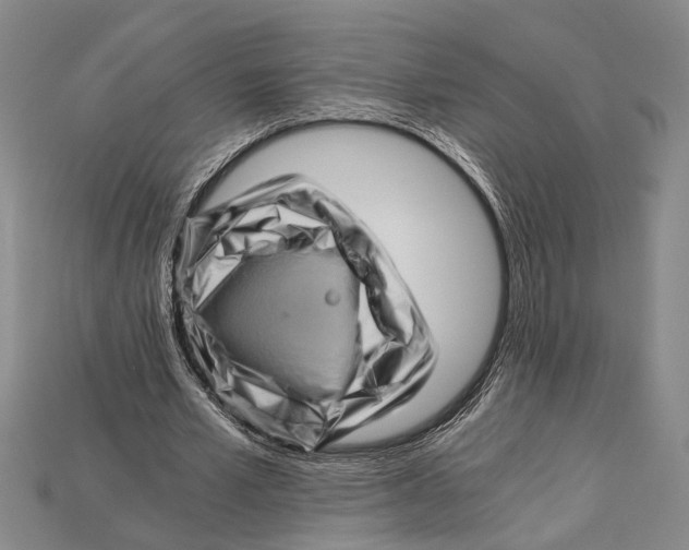 X0000114430581200911131333