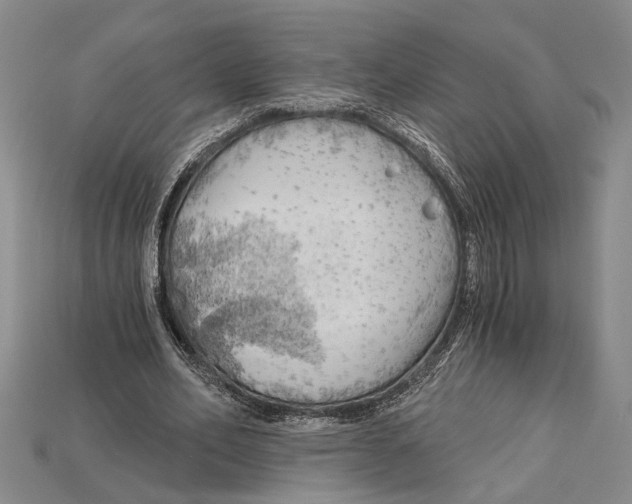 X0000114430582200911131333