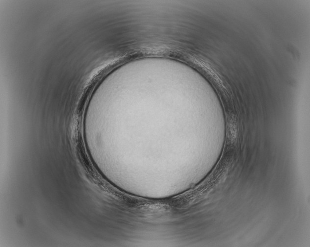 X0000114430583200911131333