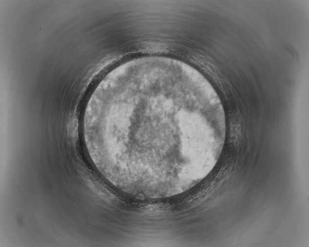 X0000114430584200911131333