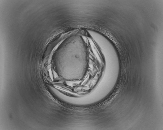 X0000114430585200911131333