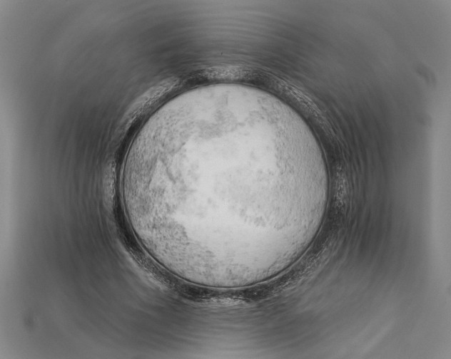 X0000114430586200911131333