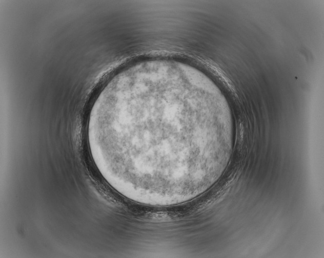 X0000114430588200911131333