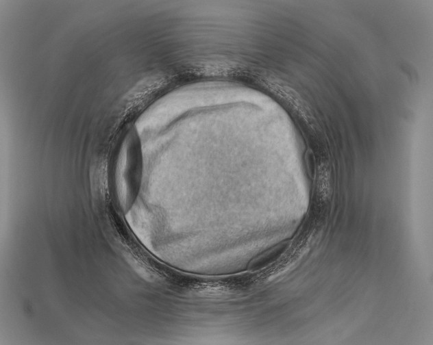 X0000114430589200911131333