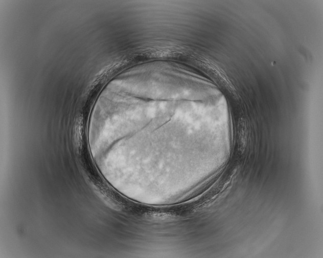 X0000114430590200911131333