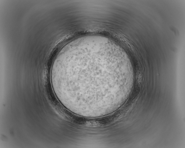 X0000114430591200911131333