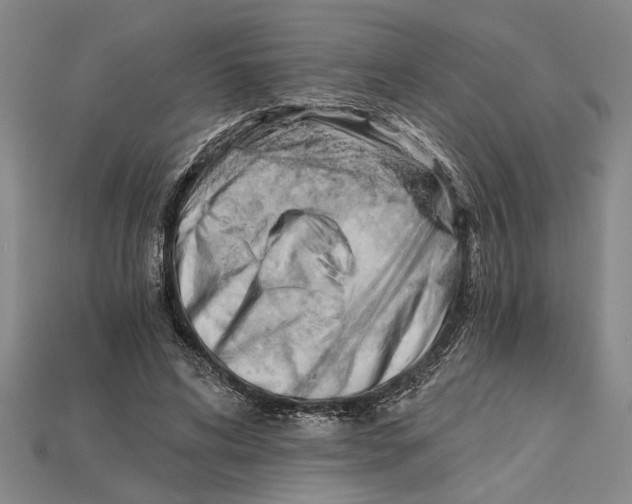 X0000114430592200911131333