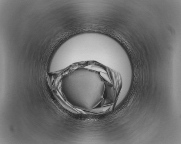 X0000114430593200911131333