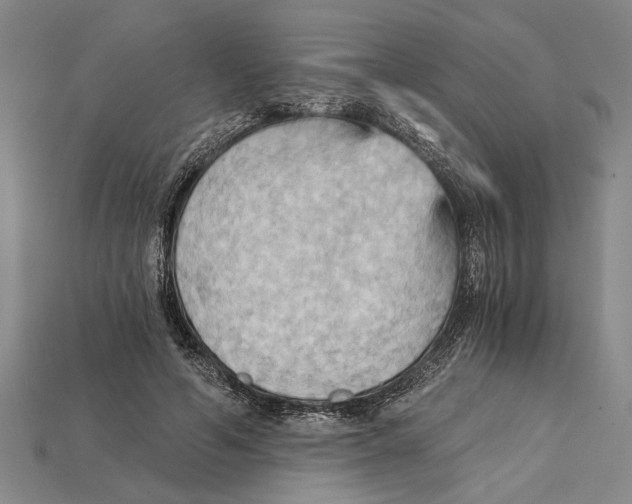 X0000114430594200911131333