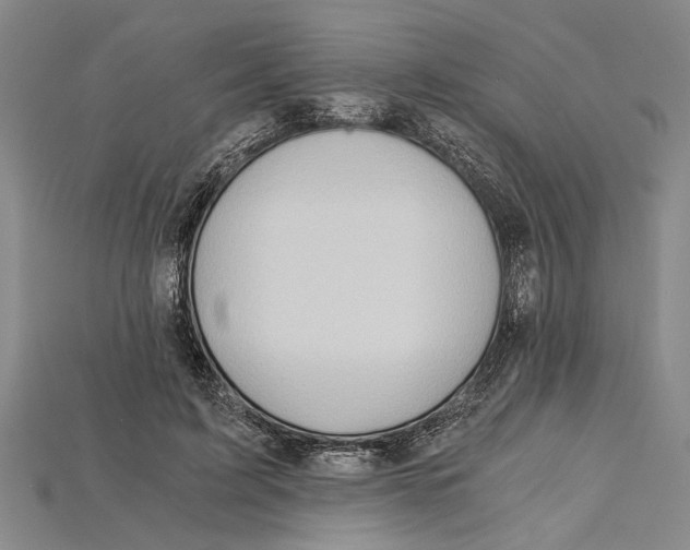 X0000114430595200911131333